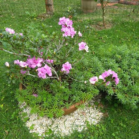 Kitnet e Suite Morada Aguiar - Chalé Abraão Exterior foto