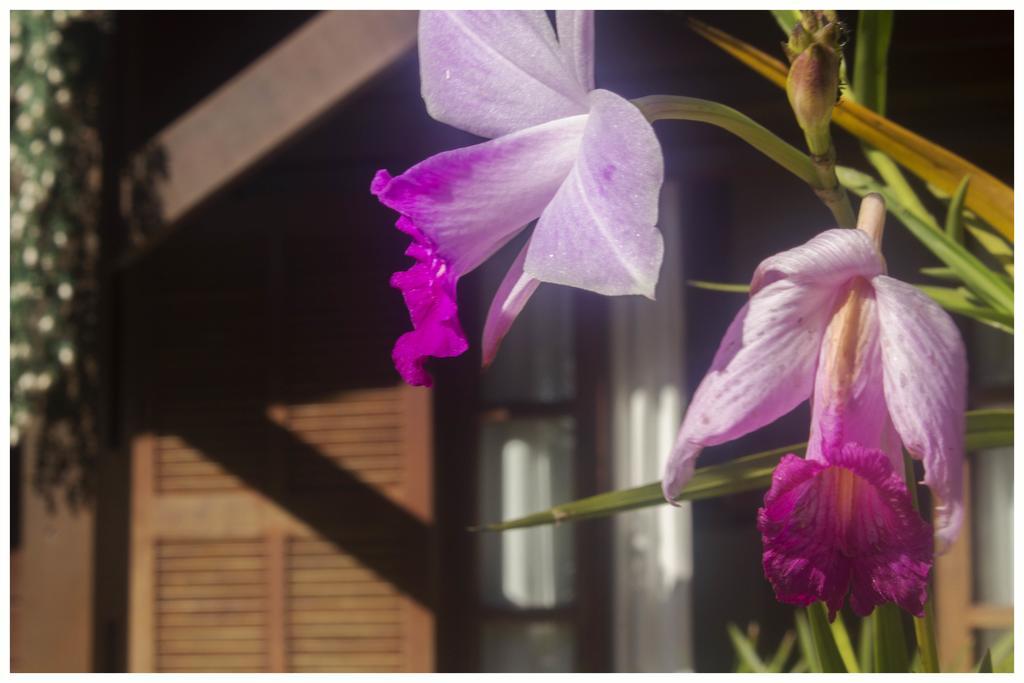 Kitnet e Suite Morada Aguiar - Chalé Abraão Exterior foto